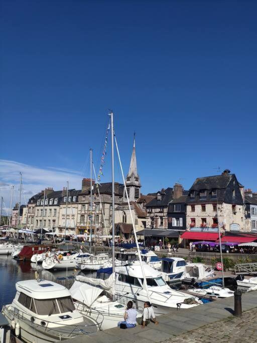 Les Coquelicots Daire Honfleur Dış mekan fotoğraf